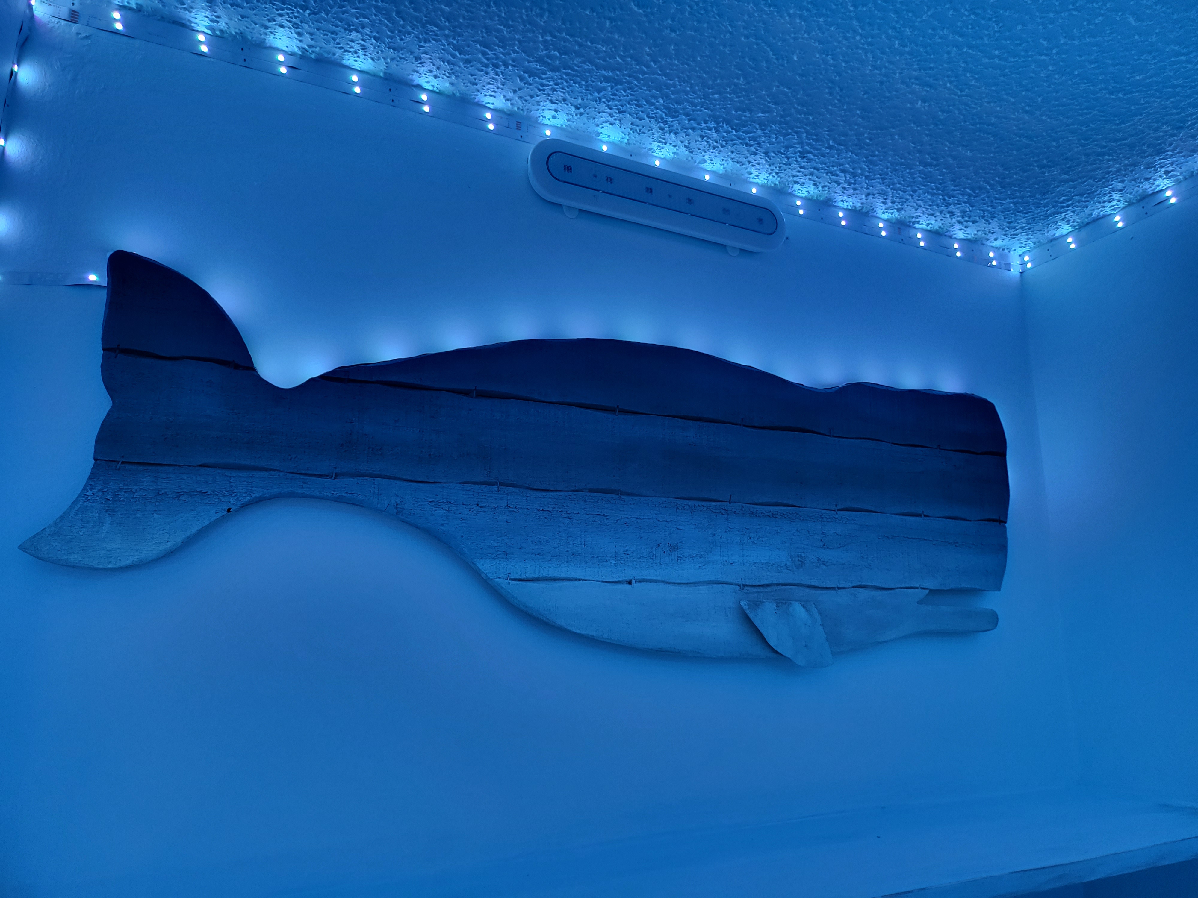 Sculptural whale glowing beneath the soft blue LED lighting.